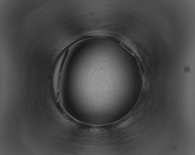 X0000091190109200708301245