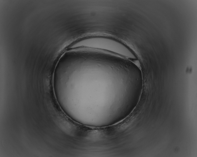 X0000091190111200708301245