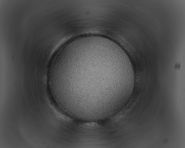 X0000091190112200708301245