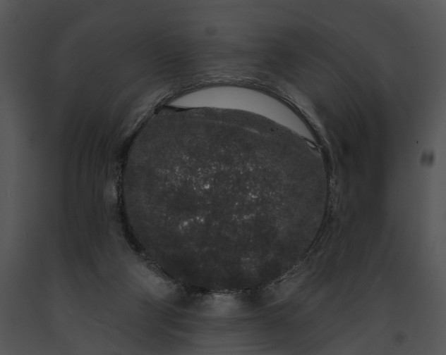 X0000091190114200708301245