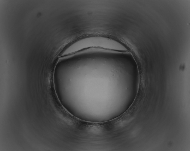 X0000091190115200708301245