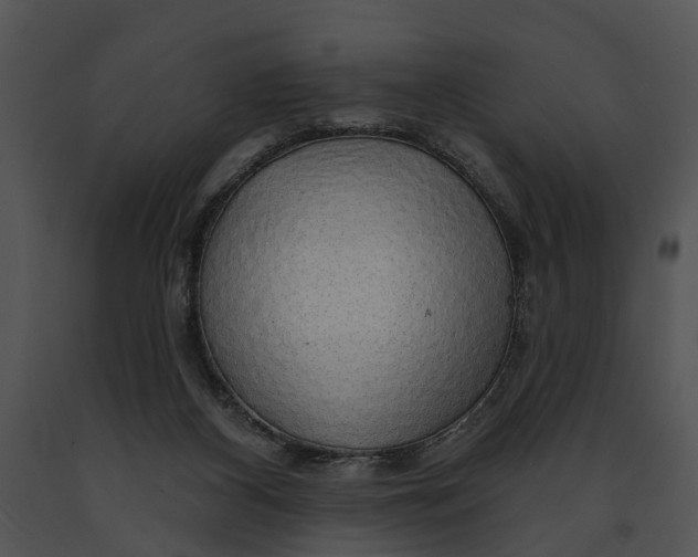 X0000091190116200708301245