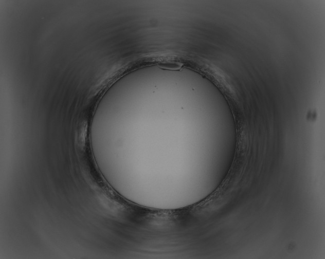 X0000091190118200708301245