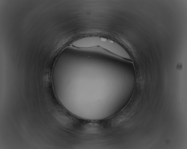 X0000091190119200708301245