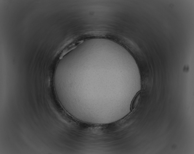 X0000091190120200708301245