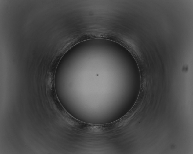 X0000091190121200708301245