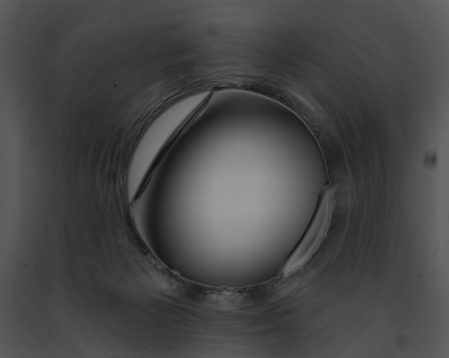 X0000091190125200708301245