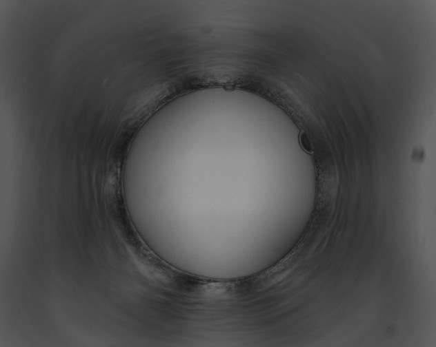 X0000091190126200708301245