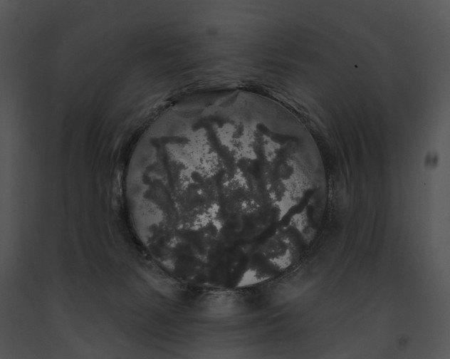 X0000091190127200708301245