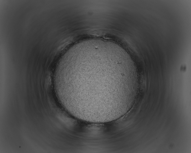 X0000091190128200708301245