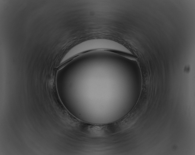 X0000091190129200708301245