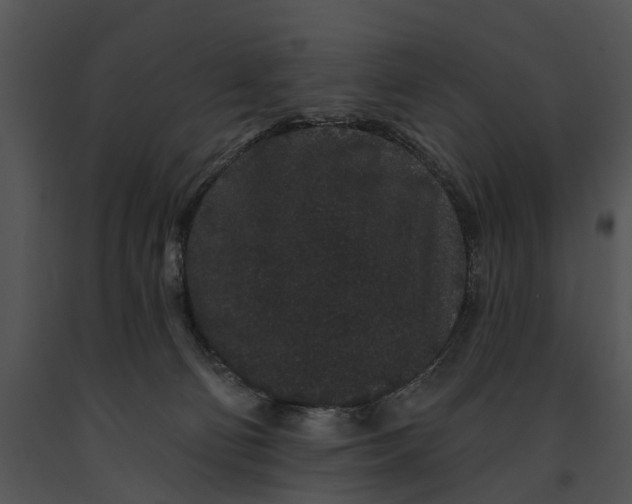 X0000091190130200708301245