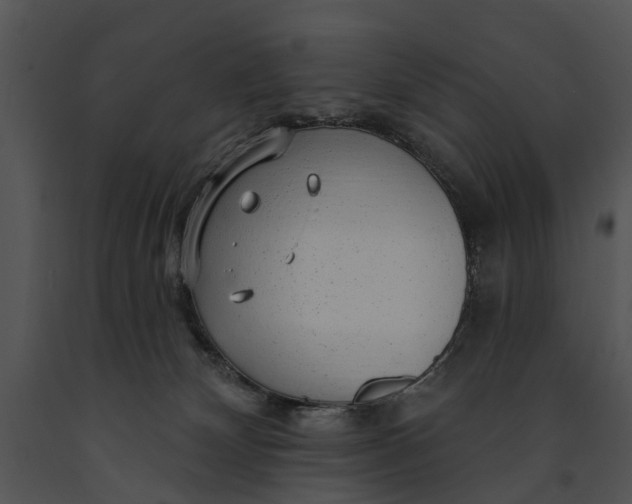 X0000091190132200708301245