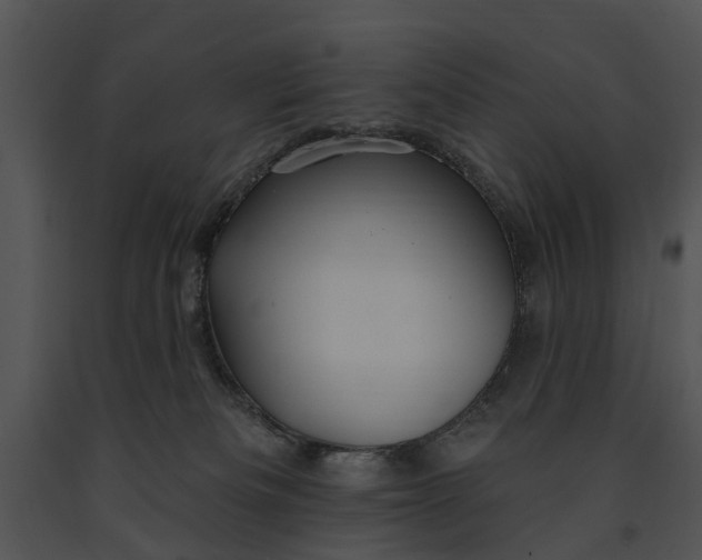 X0000091190133200708301245