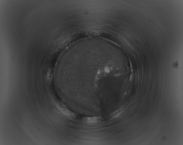 X0000091190134200708301245