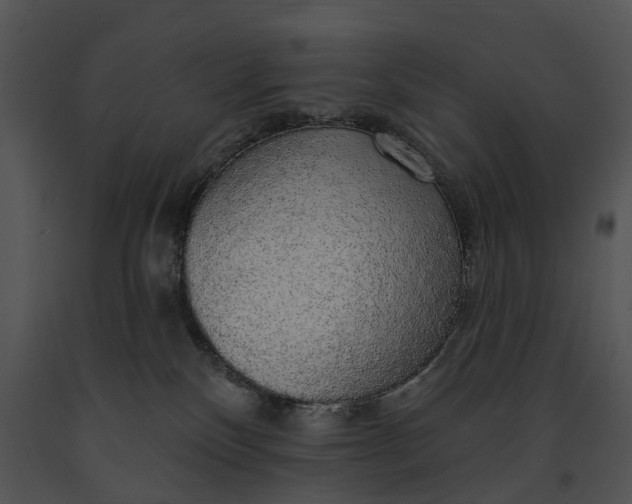 X0000091190136200708301245