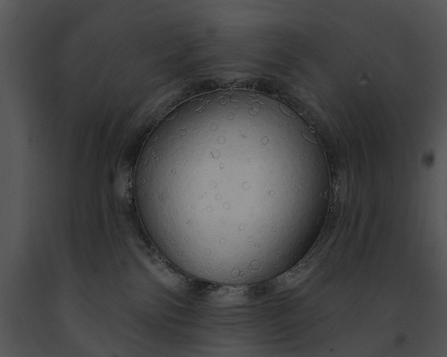 X0000091190138200708301245