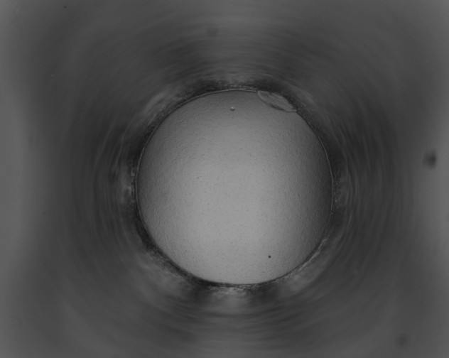 X0000091190140200708301245