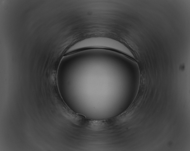 X0000091190141200708301245