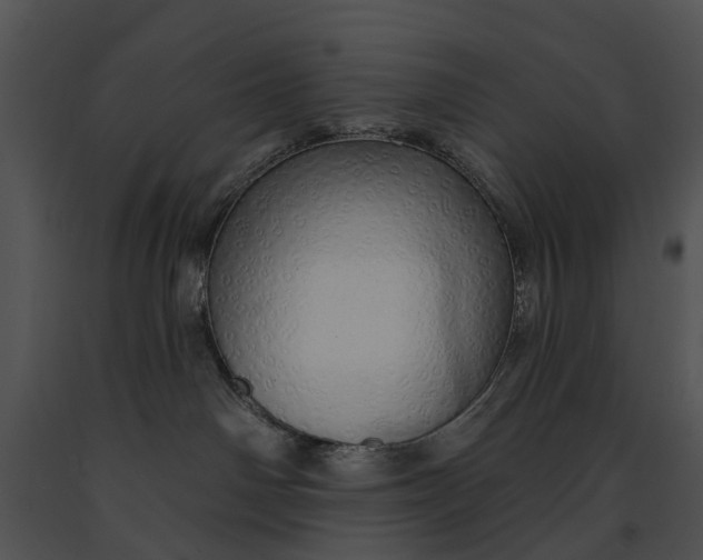 X0000091190142200708301245