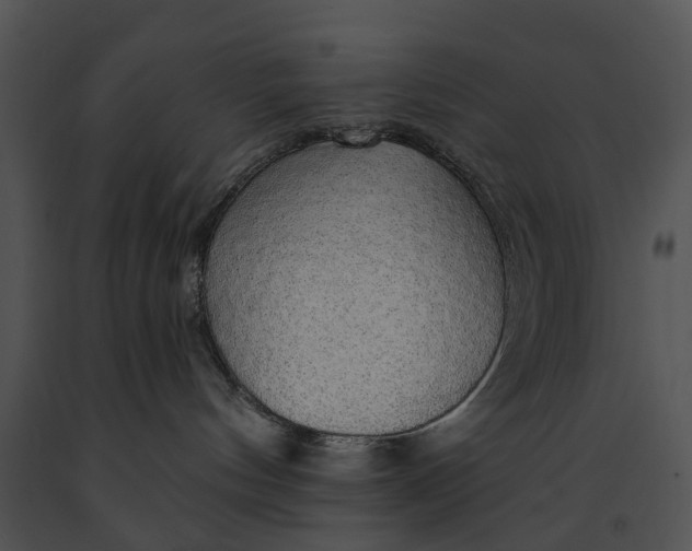 X0000091190144200708301245