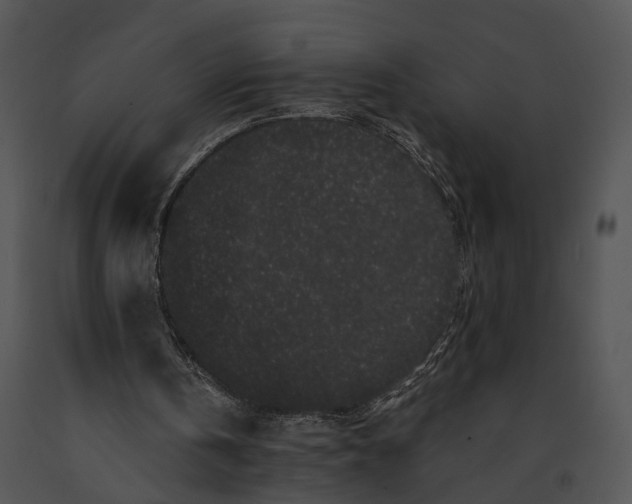 X0000091190146200708301244