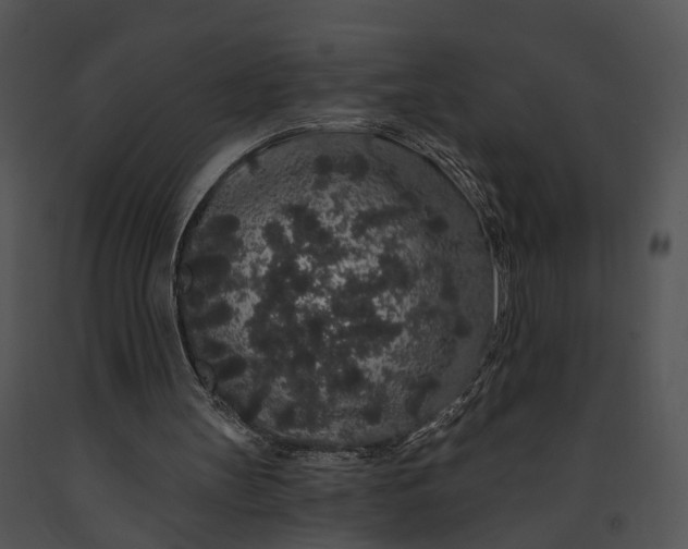 X0000091190147200708301244