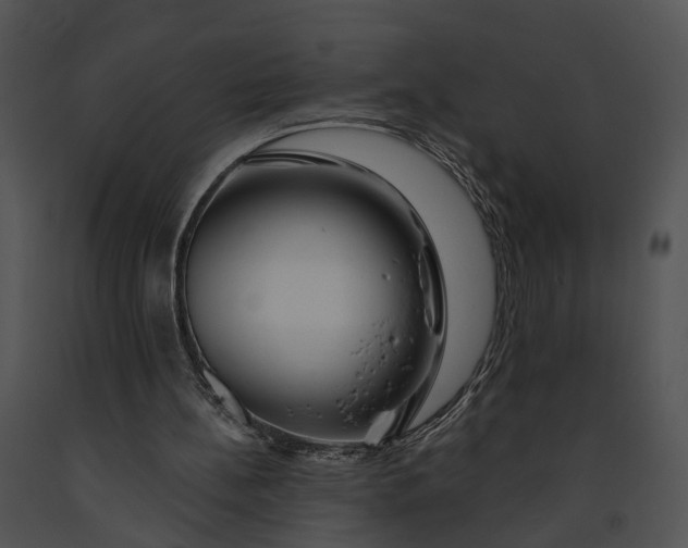 X0000091190148200708301244