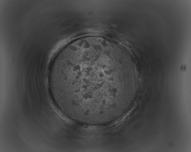 X0000091190149200708301244