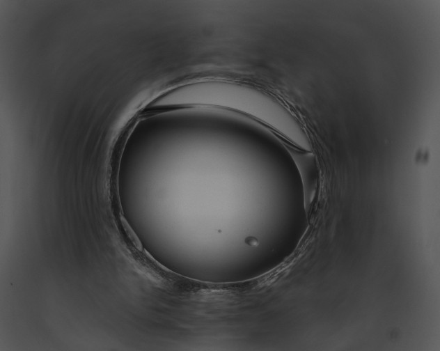 X0000091190150200708301244