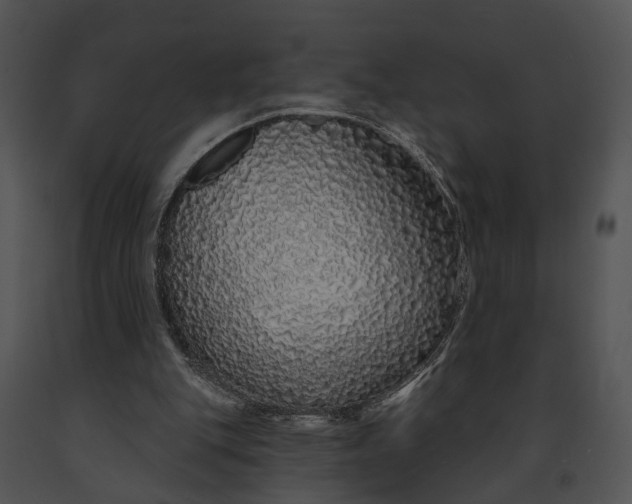 X0000091190151200708301244