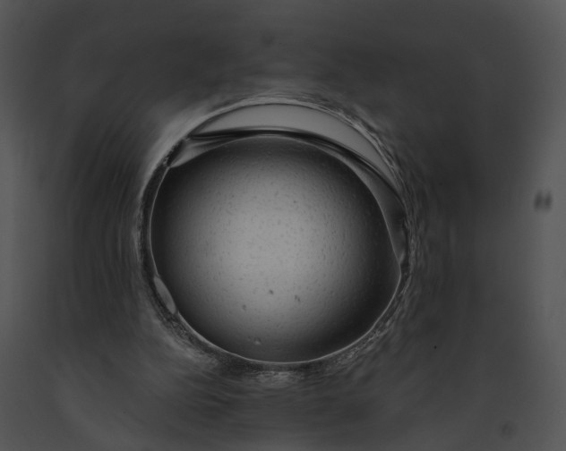 X0000091190152200708301244