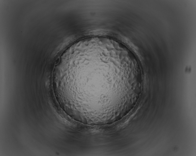 X0000091190153200708301244