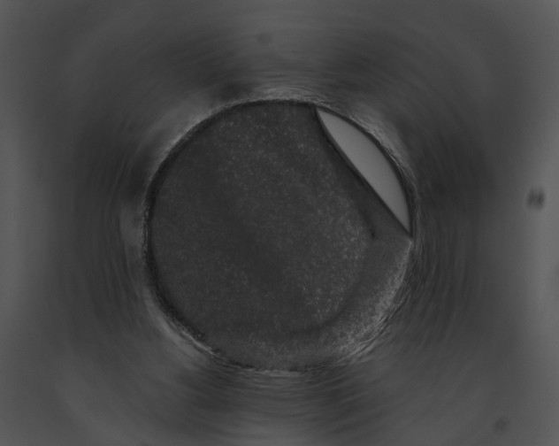 X0000091190156200708301244