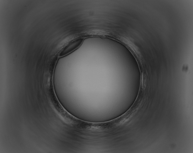 X0000091190157200708301244