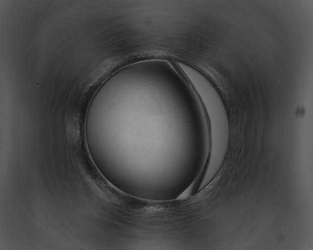 X0000091190158200708301244