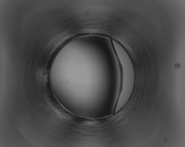 X0000091190160200708301244