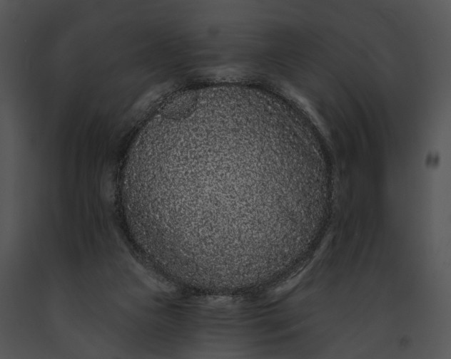 X0000091190161200708301244