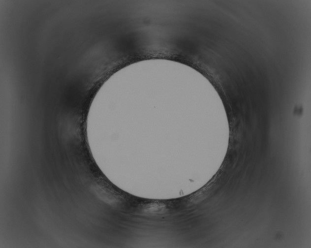 X0000091190162200708301244