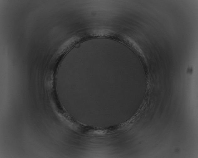 X0000091190163200708301244