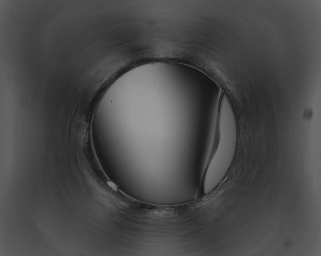 X0000091190164200708301244