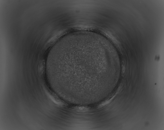 X0000091190165200708301244