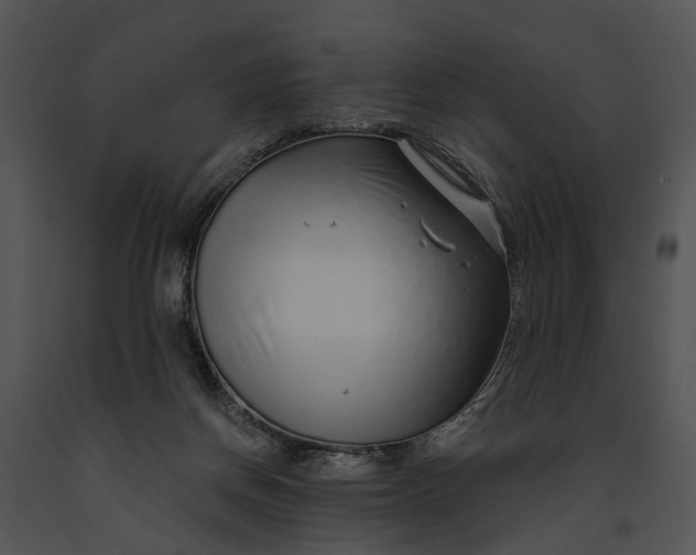 X0000091190166200708301244