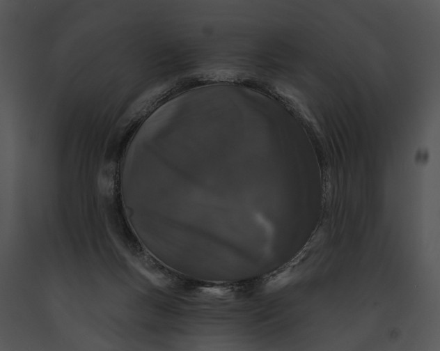 X0000091190167200708301244