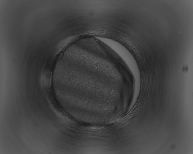 X0000091190168200708301244