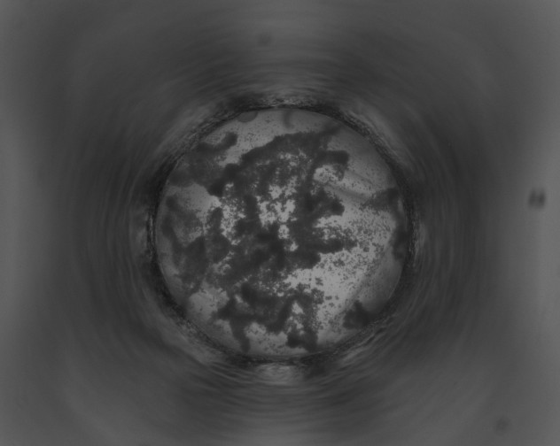 X0000091190169200708301244