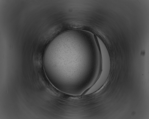 X0000091190170200708301244