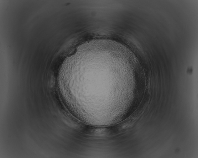 X0000091190173200708301245