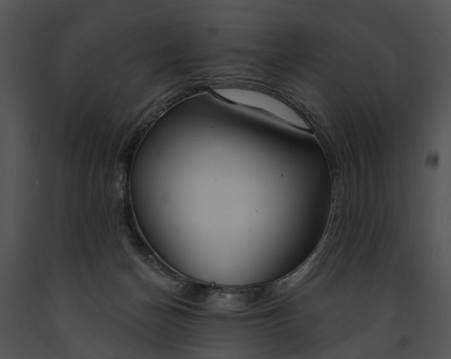 X0000091190174200708301245