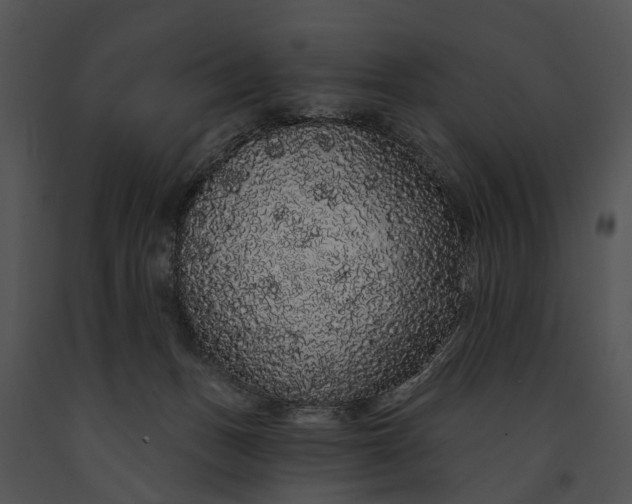 X0000091190175200708301245